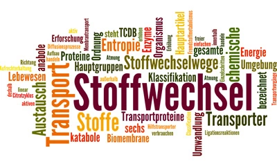 Wortwolke mit Begriffen rund um Stoffwechsel, Transport, Entropie, Proteine und chemische Stoffwechselwege in verschiedenen Farben und Schriftgrößen.