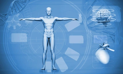 Grafik eines menschlichen Körpers mit Symbolen für das Gehirn und das Herz auf blauem Hintergrund.